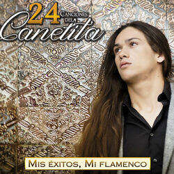Cuando Vuelvas Chords by Canelita