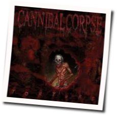 Infinate Misery Tab by Cannibal Corpse