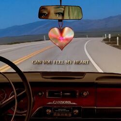 Can You Feel My Heart Chords by Cannons