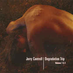 Pro False Idol Tab by Jerry Cantrell