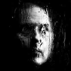 Throw Me A Line Tab by Jerry Cantrell