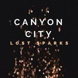 Dance Into The Dark by Canyon City