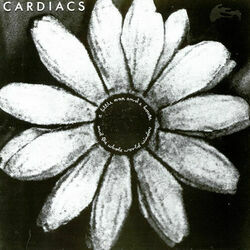 The Icing On The World by Cardiacs