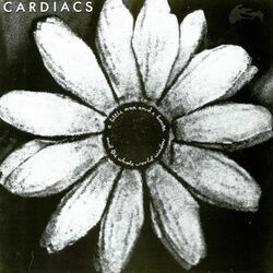 The Icing On The World Chords by Cardiacs