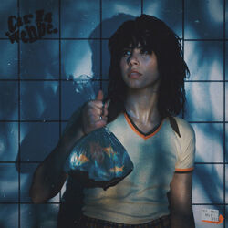 You Make Me Sick Chords by Carla Wehbe