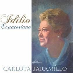 Amor Grande Y Lejano by Carlota Jaramillo