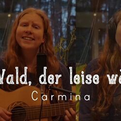 Ein Wald Der Leise Wächst Chords by Carmina