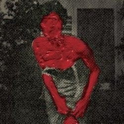 Passarin Chords by Carne Doce
