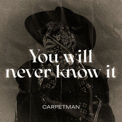 You Will Never Know It Chords by Carpetman