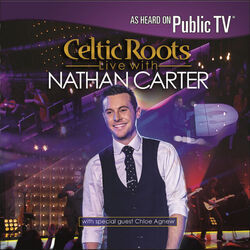 Home To Donegal Chords by Nathan Carter