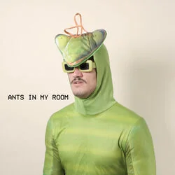 Ants In My Room Chords by Carter Vail