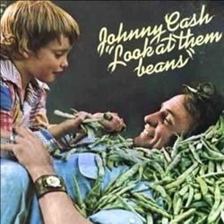 What Have You Got Planned Tonight Diana Chords by Johnny Cash