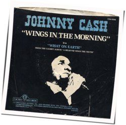What On Earth Will You Do For Heavens Sake Chords by Johnny Cash