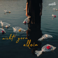 Nicht Gern Alleine Chords by Alberto Castillo