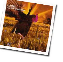 Dead From The Waist Down Chords by Catatonia