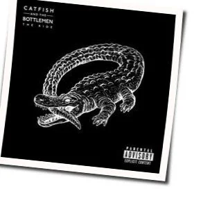 Fluctuate Chords by Catfish And The Bottlemen