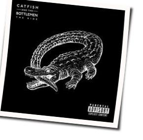 Fluctuate Chords by Catfish And The Bottlemen