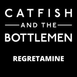 Regretamine Chords by Catfish And The Bottlemen