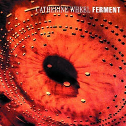 Ferment Tab by Wheel Catherine