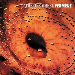 Tumble Down Intro by Wheel Catherine