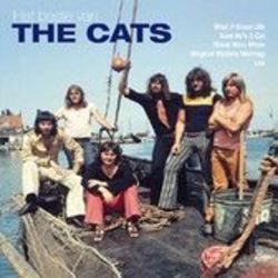 Times Were When Bass tabs by The Cats