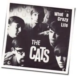 What A Crazy Life by The Cats