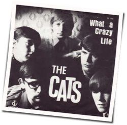 What A Crazy Life Chords by The Cats