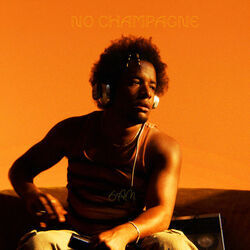 No Champagne Chords by Cautious Clay