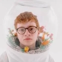 Telescope Chords by Cavetown