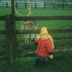 Dear Bass tabs by Cavetown