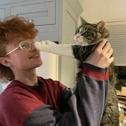 Juno Chords by Cavetown