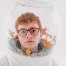 Telescope Tabs by Cavetown