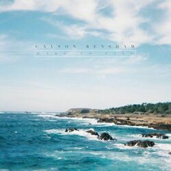 Hard To Find Chords by Cayson Renshaw