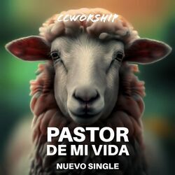 Pastor De Mi Vida Chords by Ccworship
