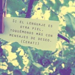 Otra Piel Chords by Gustavo Cerati