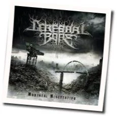 Entombed In Butchered Bodies Tab by Cerebral Bore
