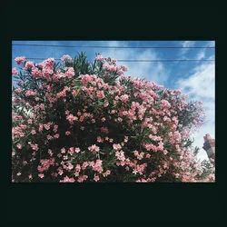 Talking Chords by Ceres