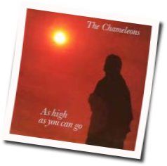 As High As You Can Go Bass tabs by The Chameleons
