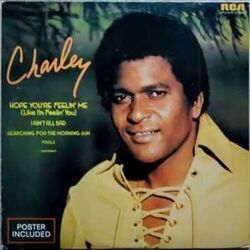I Ain't All Bad Chords by Charley Pride