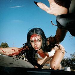 Selfish Girl Chords by Charli XCX