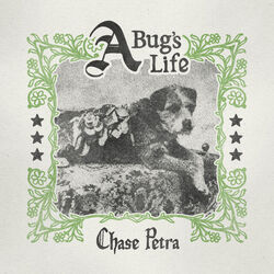 A Bugs Life Chords by Chase Petra