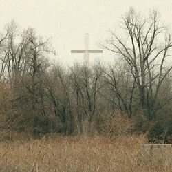 I Am Dog Now Bass Tab by Chat Pile