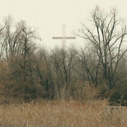 I Am Dog Now by Chat Pile