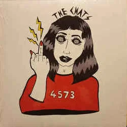 4573 Bass Tab by The Chats