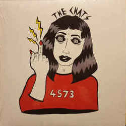 4573 Bass tabs by The Chats