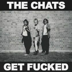 Ticket Inspector Bass tabs by The Chats