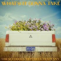 Whats It Gonna Take Chords by Cheat Codes