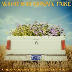 Whats It Gonna Take by Cheat Codes