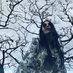 Scorpions Sting Ukulele Chords by Chelsea Wolfe