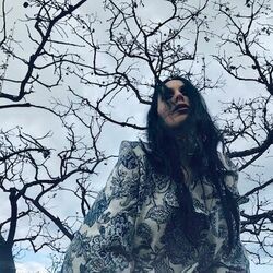 Scorpions Sting Ukulele Chords by Chelsea Wolfe